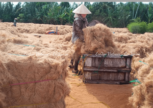 Materia prima natural de alta calidad Fibra de coco/Exportación de fibra de coco/Fibra de coco en Vietnam - Product Image 2