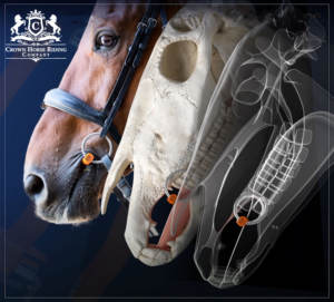 Bocado de Oreja Completa para Caballo, de Cobre y Acero Inoxidable, Cómodo, con Diseño de Carreras, para Equitación, con Logotipo Personalizado - Product Image 6