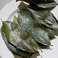 Sachets de thé au corossol biologique biologique sans gluten de International Corp. Soursop pour la perte de poids et le diabète