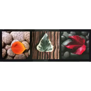 Impression artistique de feuilles colorées - Product Image 1