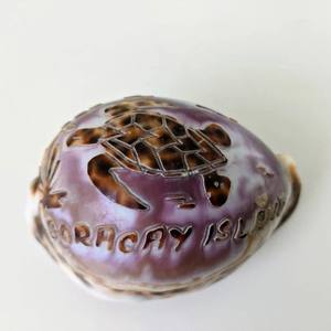 เปลือกหอยที่ปรับแต่งได้สลักมือแกะสลักเปลือกหอยทะเล Cowry Cowry ที่มีรูปแบบที่แตกต่างกัน - Product Image 4