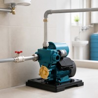 Pompa AC Tekanan Tinggi GP125W untuk Perdagangan Luar Negeri 220V Colokan Eropa Otomatis Mini Self-Priming Bodi Besi Cor Booster