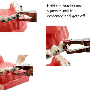 Fórceps de extracción de raíz de ortodoncia de alta calidad, alicates de raíz rota Dental profesional de acero inoxidable, instrumentos quirúrgicos - Product Image 5