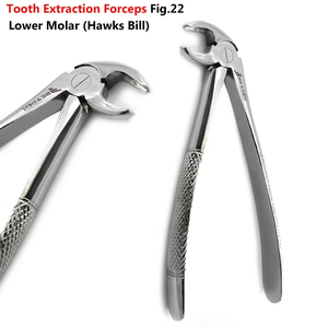 Dental Tooth Extraction Pulling Forceps Mouth Inspection Mirror <b>Plaque</b> <b>Removers</b> BY Vaslcare - Product Image 2