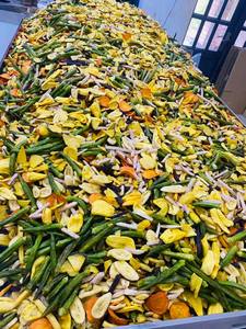 Tropical Mixed Dry Fruits and Vegetables Natural Snack OEM Frito Mix Fruit Chips - Product Image 5