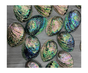 อัญมณีเปลือกหอยเป๋าฮื้อหลวม-ธรรมชาติความงามที่ดีที่สุดเพิ่มเสน่ห์ให้กับวันหยุดของคุณด้วยผลึกหอยเป๋าฮื้อ - Product Image 1