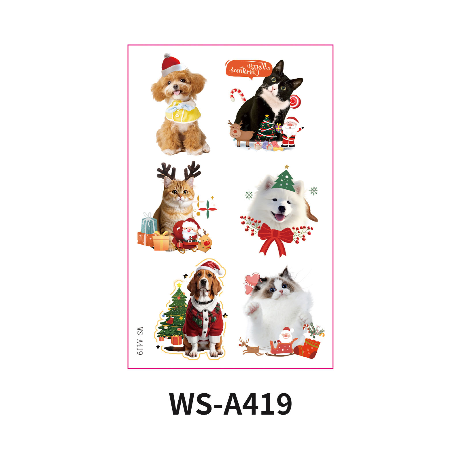 WS-A419