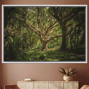 Impression sur toile Paysage d'arbre ancien : Art mural minimaliste élégant, TOILE ENCADRÉE BLANCHE - Product Image 1