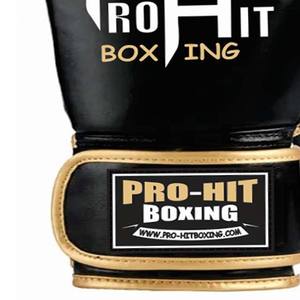 Fabrication Meilleures Ventes Dernière Conception Double Couleur Gants De Boxe Gagnés Formation Professionnelle Gants De Boxe Gagnés - Product Image 3