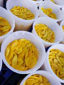 Demande aux Acheteurs : Mangues Séchées Douces et Sucrées, Sans OGM, en Vrac pour le Marché UE/Russie – Disponibles en Formats 100gr, 200gr, 500gr. Contact WhatsApp : 0084 989 322 607 - Product Image 2