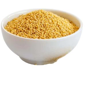 wholesale 100% natural organic foxtail millet premium grade