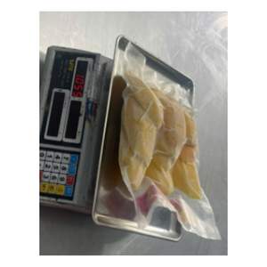 Mango congelado natural dulce, IQF Vietnam de fruta sabrosa, perfecta para el procesamiento minorista, mayorista y de alimentos - Product Image 1