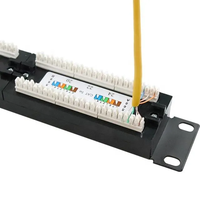 Panneau de brassage IDEX Cat5e UTP 1U 24 ports avec gestion des câbles