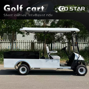 Voiturette de golf électrique modifiée avec une benne de chargement pour le transport de marchandises, voiturette de golf utilitaire 2 places - Product Image 2