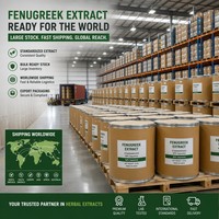 Extrait de graines de fenugrec de qualité alimentaire, 50 % de saponines HPLC, Trigonella Foenum Graecum, en poudre, fourni par l'usine