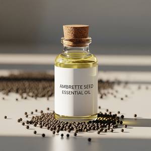 Exportateur mondial d'huile essentielle de graines d'ambrette Huile de musc au meilleur prix - Product Image 5