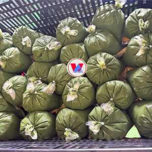 SUPERALIMENTO DE HOJAS DE YUCA CONGELADAS PARA UN APOYO INMUNE NATURAL CON LA ETIQUETA LIMPIA PROMESA - Product Image 1