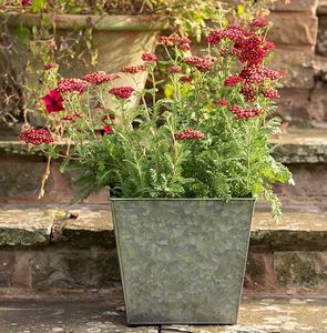 Maceta moderna de metal galvanizado rectangular para el hogar, maceta redonda decorativa para sala de estar, mini maceta para decoración del hogar - Product Image 5