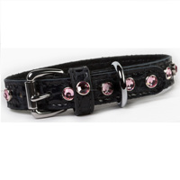 Collier de chien en cuir véritable fait à la main colliers de formation pour animaux de compagnie durables réglables pour chiens de taille moyenne Pitbull Labrador