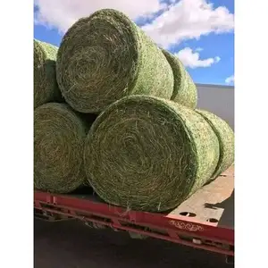 Heno de alfalfa de calidad/pellets de heno de alfalfa/pellets de salvado de trigo