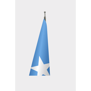 Customizable 3x5ft Indoor Satin/Polyester/Polyester/Plastic/Silk <b>Flag</b> with Aluminum <b>Pole</b>-Somalia Official - Product Image 3