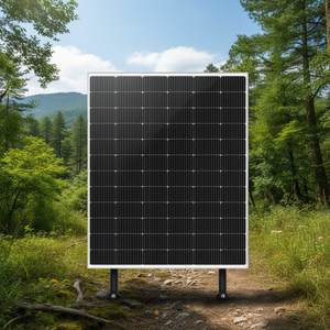 Panel Solar Monocristalino Bifacial Tipo N Wensheng New Energy Sunwin SP645M-66H PERC para Uso Industrial - Product Image 3