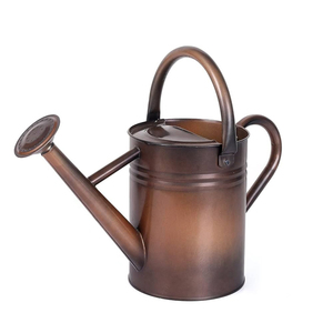 Vente en gros dernier concepteur fait à la main en métal arrosoir fabricant et exportateur nouveau Design artisanal arrosoir en vrac - Product Image 4