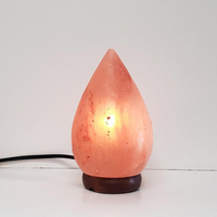 Lampe de nuit en sel de l'Himalaya naturel, forme de goutte d'eau, lampe en cristal de roche avec ampoule et cordon, décoration d'intérieur
