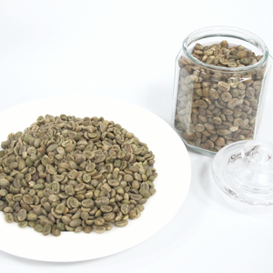 Granos de café verde Arábica orgánico de Vietnam recién cultivados para pedidos de exportación a granel - Product Image 3