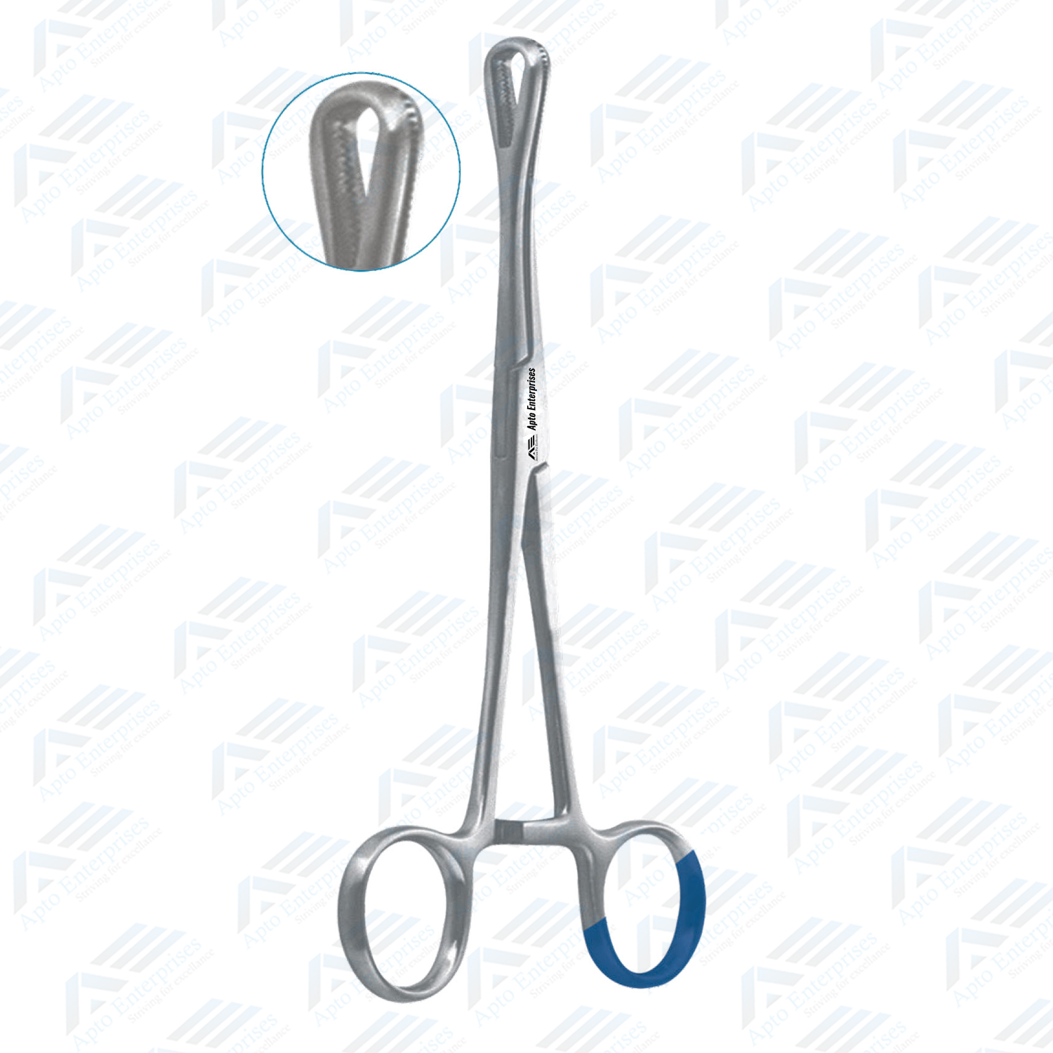 Sponge Holding Forceps