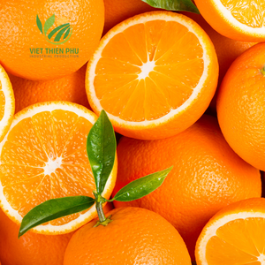VIETNAM FROZEN ORANGE kualitas tinggi/tanaman baru 2024 harga bagus