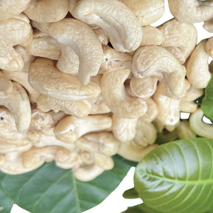 Offre Spéciale 2025 importation de noix de cajou du Vietnam noix de cajou Vietnam noix de cajou W180 prêt à expédier - Product Image 1