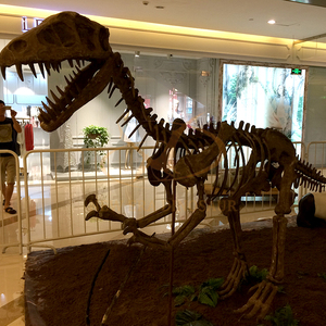 Fossiles <span class=keywords><strong>de</strong></span> dinosaures simulés animatroniques d'intérieur en taille réelle pour musée pour centres commerciaux aéroports garderies jardins d'enfants en métal - Product Image 6