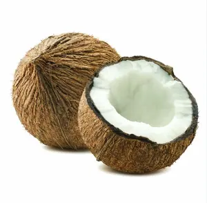 批发新鲜椰子年轻椰子100% 天然低价来样定做包装