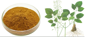 Ekstrak tanaman Epimedium Icariin 5% 10% bubuk ekstrak Epimedium kapsul ekstrak ganja kambing <span class=keywords><strong>Horny</strong></span> - Product Image 2