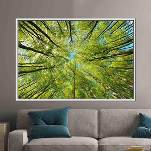 Toile imprimée élégante : tableau mural avec vue sur un arbre vert, 1P : encadré blanc - Product Image 1
