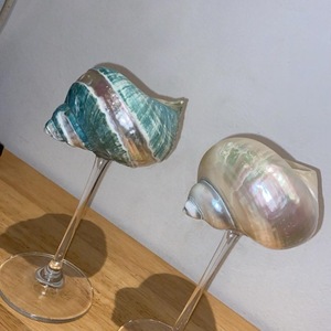 แก้วไวน์เปลือกหอยถ้วยเปลือกหอยทำด้วยมือสำหรับงานแต่งงานชายฝั่ง2025 - Product Image 2