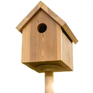 Alta vendita di legno Bird House per il giardino In qualità durevole con finitura elegante In legno BirdFeeder per gli uccelli a prezzi accessibili