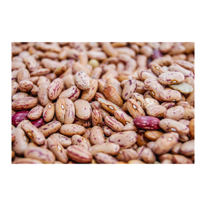 ถั่วแดงไต,ถั่วแดงสำหรับขาย - Product Image 6