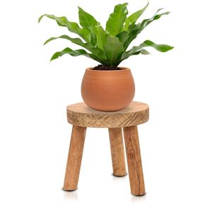 Soporte de maceta de madera de 3 patas de la mejor calidad hecho a mano en la India para decoración de jardín doméstico para macetas y macetas - Product Image 5