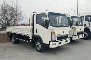 BEST OFFER USED 4x2 <b>Light</b> Truckz, Customized to Your Load Capacity Requirements - Product Image 4