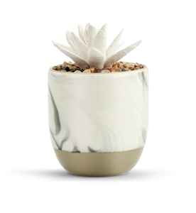 POTS DE FLEURS - Product Image 4