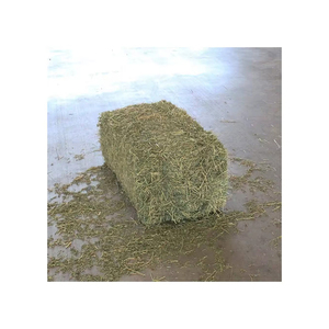 Approvisionnement en vrac de foin d'herbe de Rhodes pour l'alimentation animale, qualité export, prix réduit, en balles - Product Image 4