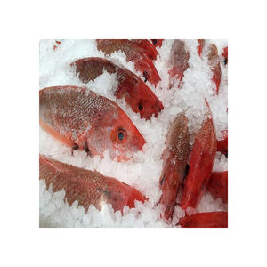Poisson argenté frais congelé de haute mer entier avec nettoyage professionnel pour les grossistes, les détaillants et les importateurs de produits de la mer - Product Image 3