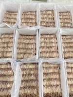 Calmar séché du Vietnam de haute qualité et au meilleur prix