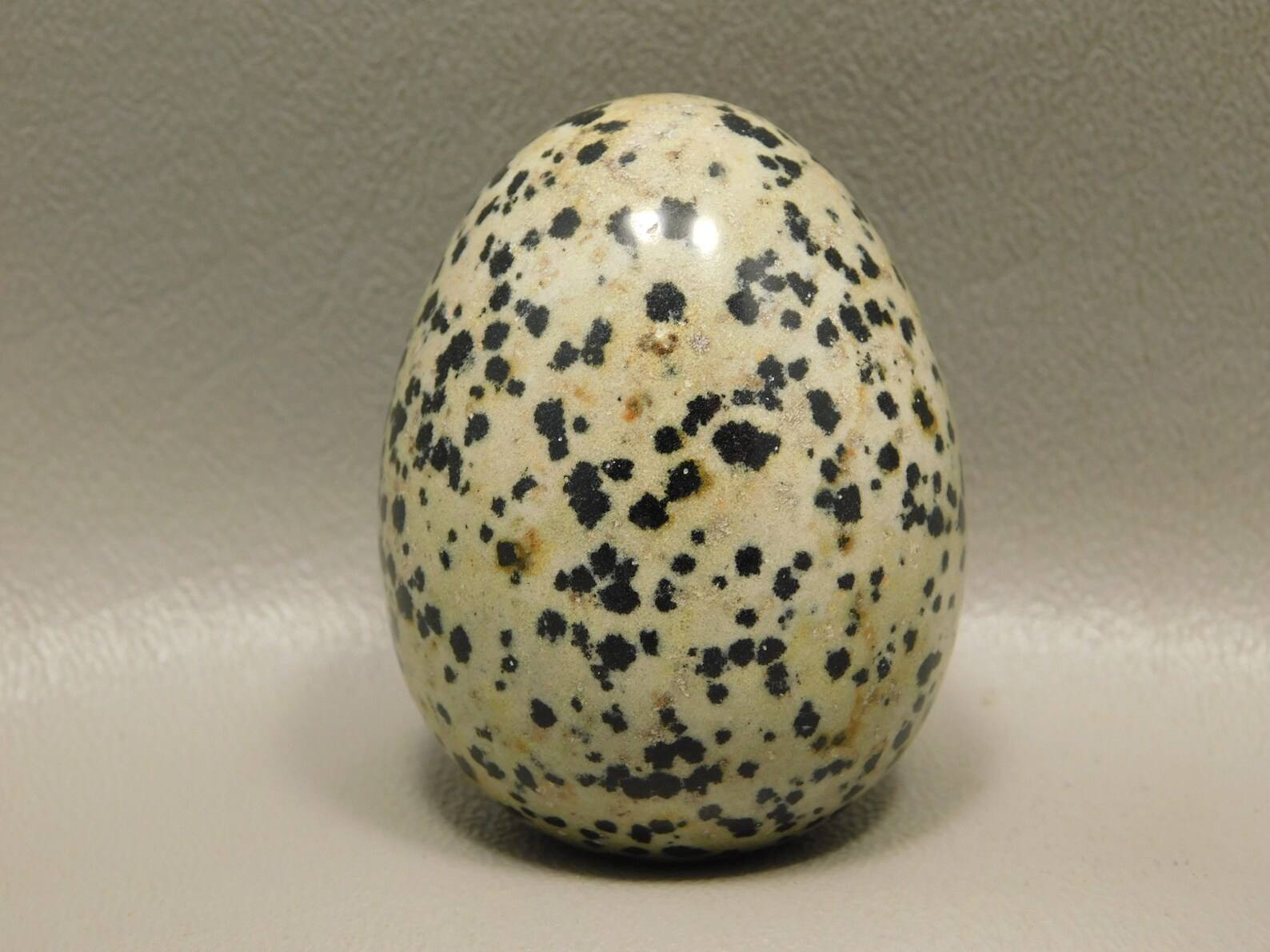 ตามที่แสดงในรูป