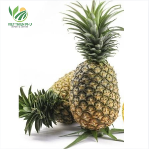 Viet Thien Phu สับปะรดแช่แข็งออร์แกนิกพรีเมี่ยม100% ผลไม้เมืองร้อนหวานฉ่ำธรรมชาติน้ำ iqf สำหรับใช้ทำอาหารส่งออก - Product Image 3