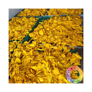 Morceaux de mangue séchée douce de qualité d'exportation Processus de séchage sûr Emballage sous vide Prix compétitif Snack sucré de qualité supérieure - Product Image 4