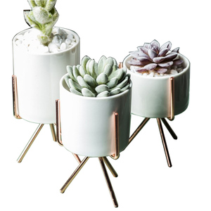 Qualité supérieure Luxe Style Jardin Hôtel Décor Jardinière Pot Galvanisé Finition Fer Métal Fleur Planteur Ensemble De Deux - Product Image 4