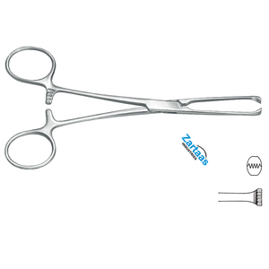 คีมหนีบเนื้อเยื่อในลำไส้4X5ฟัน15ซม./6 "ทำจากสแตนเลส - Product Image 6